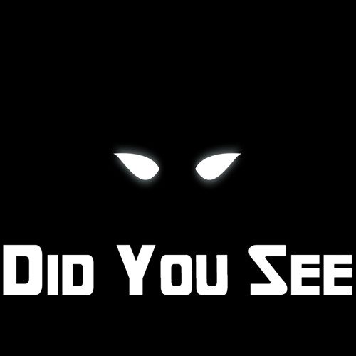 Did You See - Badman Binladin