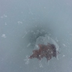 you dont have to call back ft. catrome (prod. oilcolor)