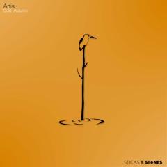 La playlist de décembre par SNKLS