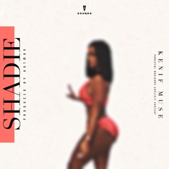 Shadie (prod. Hotman)