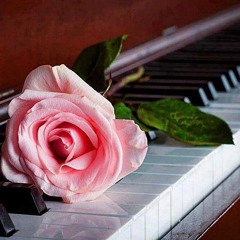 Frédéric Chopin - Nocturne No. 20 in C sharp minor, Op. Posth (Hocus live piano versio)