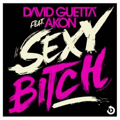 David Guetta Ft. Akon - Sexy Bitch (Ilkay Sencan Remix)[FREE DL]