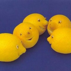 Driving In The 16th Century