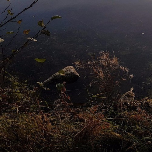 Jana Sleep - Lost His Crown