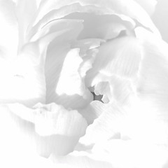 Strvttosphere's Deep Love