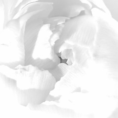 Jacking Monster - Strvttosphere Mini Mix