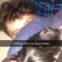 Little Bitta Biggie; with my dog harley