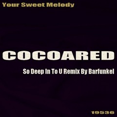 Your Sweet Melody (So Deep In To U Remix By Barfunkel)