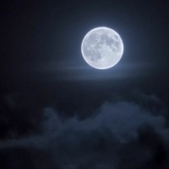 Munro Leaf @Elektropikal Full Moon 4 - 11 - 17