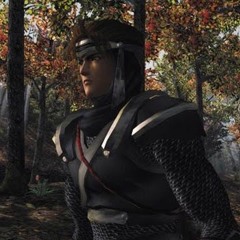 Dead Or Alive 3 Music Look Ahead Theme Of Ryu Hayabusa