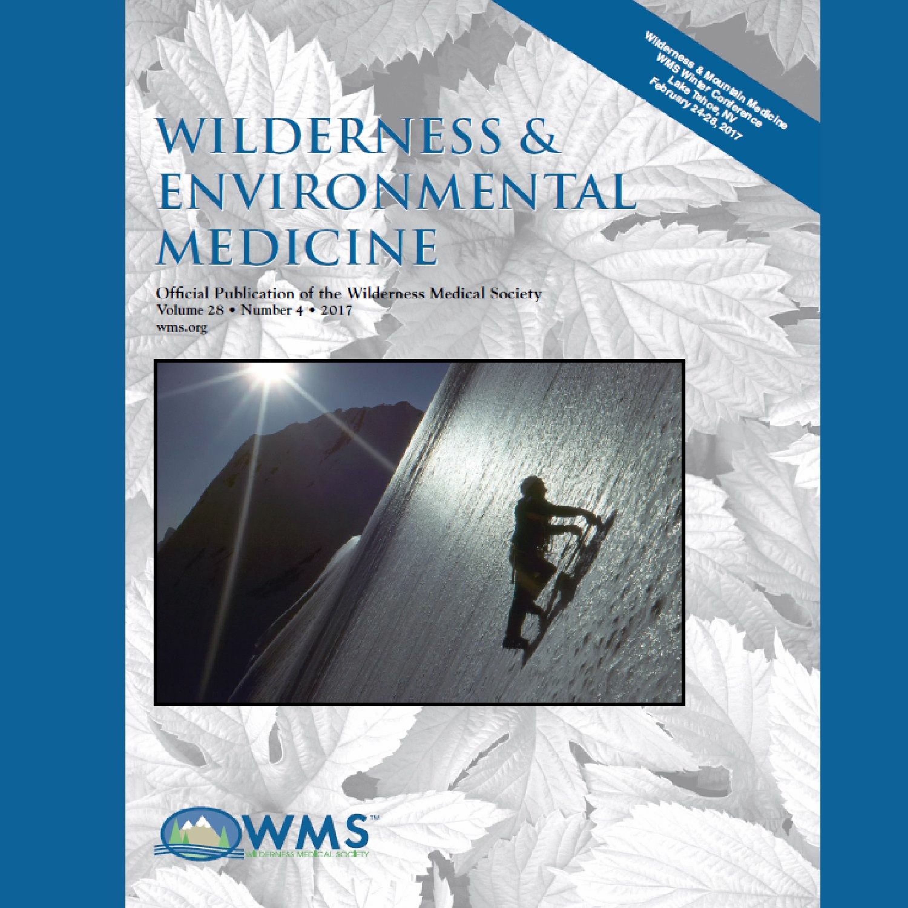 Wilderness Medicine Podcast