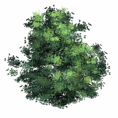 Korantemaa - Photosynthesis [TazLazuli Production / Remix]
