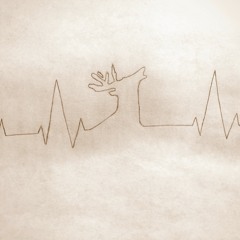 Lisbon, OH - Bon Iver Cover