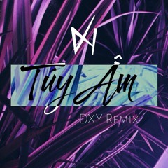 TÚY ÂM (DXY REMIX)