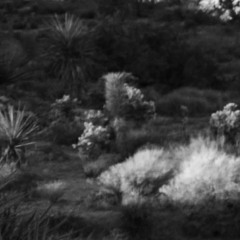 great dane x kendrick (jordnmoody edit)