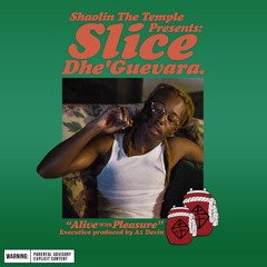 Slip N' Slice(produced by A1Devin)