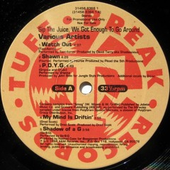 Gripsta & D-Loc - P.D.Y.G. (1994)