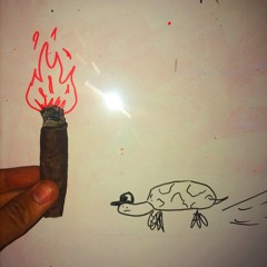 Running Turtle Burning Log