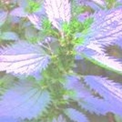 Have Been Known [Myrh Punk]