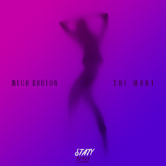 Mega Banton - She Want (STATY Remix)