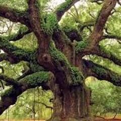 Flip the Script Week 112