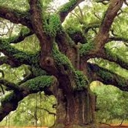 Flip the Script Week 112