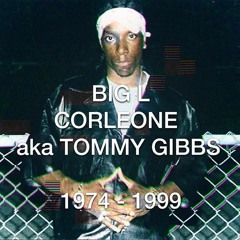 Big L - Hard To Kill [instrumental]