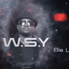 W.S.Y