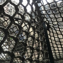 Crane Wife 1  (Decemberists Cover, Rec Nov 2017)