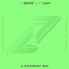 A Different Way - Dj snake ft. Lauv (Cover)