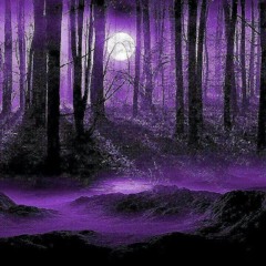 Chaotic project [forestpsy]®