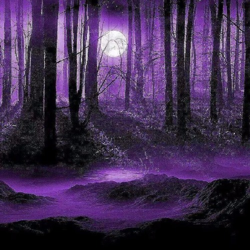 Chaotic project [forestpsy]®