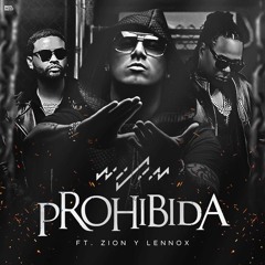 Wisin Ft Zion & Lennox - Prohibida (Dj Salva Garcia 2017 Edit)