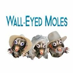 Li'l' Cowpoke's Christmas Prayer