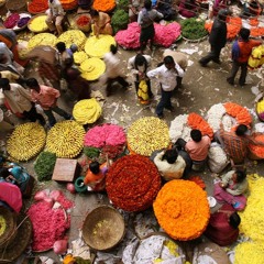 Bangalore