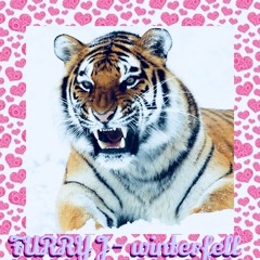 FURRY J - pfandmarken anthem