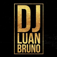 Montagem - To ligando pra porra nenhuma (Dj Luan Bruno)