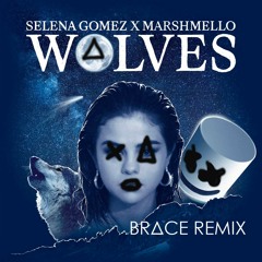 Wolves By Marshmello and Selena Gomez - BRΔCE Remix