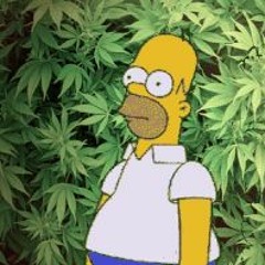 I Don't Want No Drugs