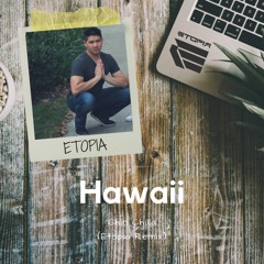 Chin Chilla - Hawaii (Etopia Remix)FREE DL
