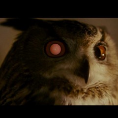 Cosm - Eschalon(hotel Paranoia)