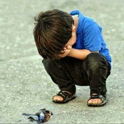 نبيّ الرحمة🌷