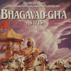Bhagavad Gita Class - Week 6 (Chapter 1 verses  1-23).mp3