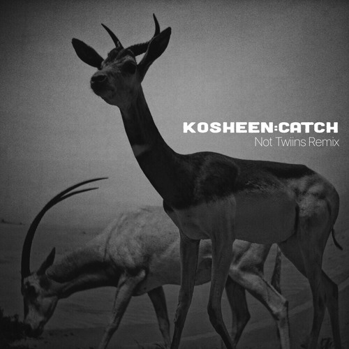 Kosheen - Catch (Not Twiins Remix) {CLICK FREE SHIZ FOR FREE D/L}