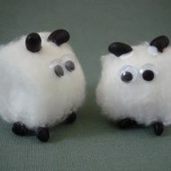 Cotton Sheep