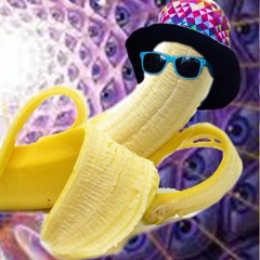 Arky - Finchy goes NANAS