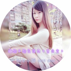 你怕不怕失去我《全中文》 DJ小小鑠 2018 Mix