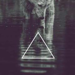 Gucci Everything (Prod. By Unknown) Cody Wolf