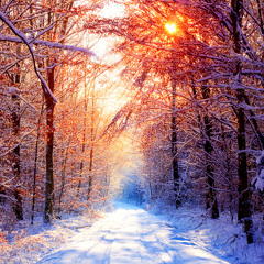 Muzza Soul Selection Mix #7 (Dec 2017)