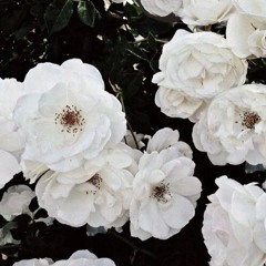 Heaven Cover (Bryan Adams)